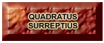 Quadratus Surreptius